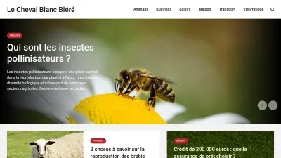 Lechevalblancblere.com