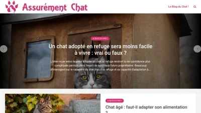 Assurément Chat
