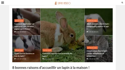 Lapin Hebdo
