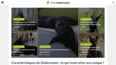 Sos Dobermann