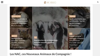 Nac-hebdo.com