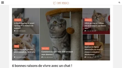 Chats-hebdo.com