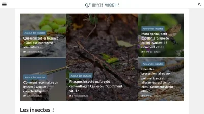 Insectes Magazine