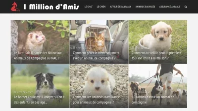 1milliondamis.com