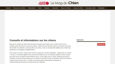 Le Mag du Chien