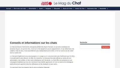Le Mag du Chat