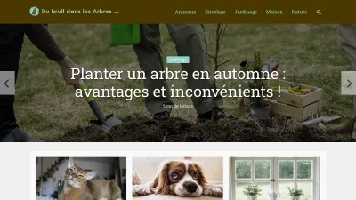 Du bruit dans les arbres