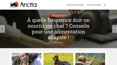 Arcita.com