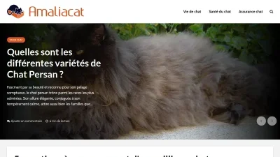 Amaliacat.com