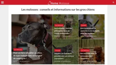 Home-molosse.fr 