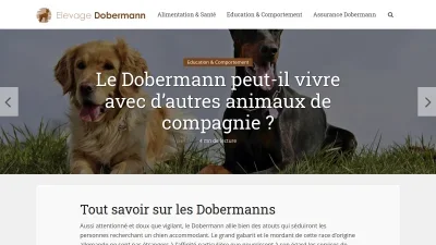 Elevage-dobermann.fr 
