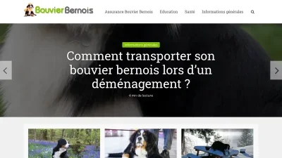 Bouvier-bernois.com