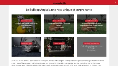 Snowbulls.fr