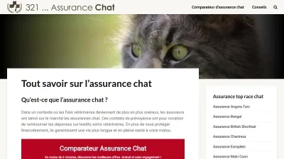 321-assurance-chat.net