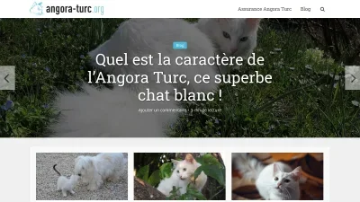 Angora-turc.org