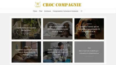 Croc-compagnie.com