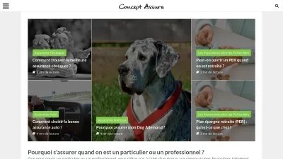 Conceptassure.com