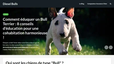 Diesel Bulls
