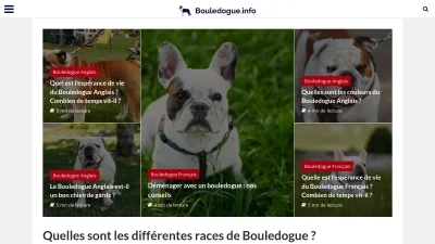 Bouledogue.info