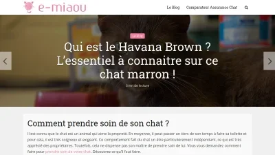 E-miaou.fr