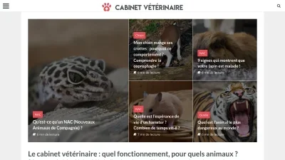 Cabinet-veterinaire.com